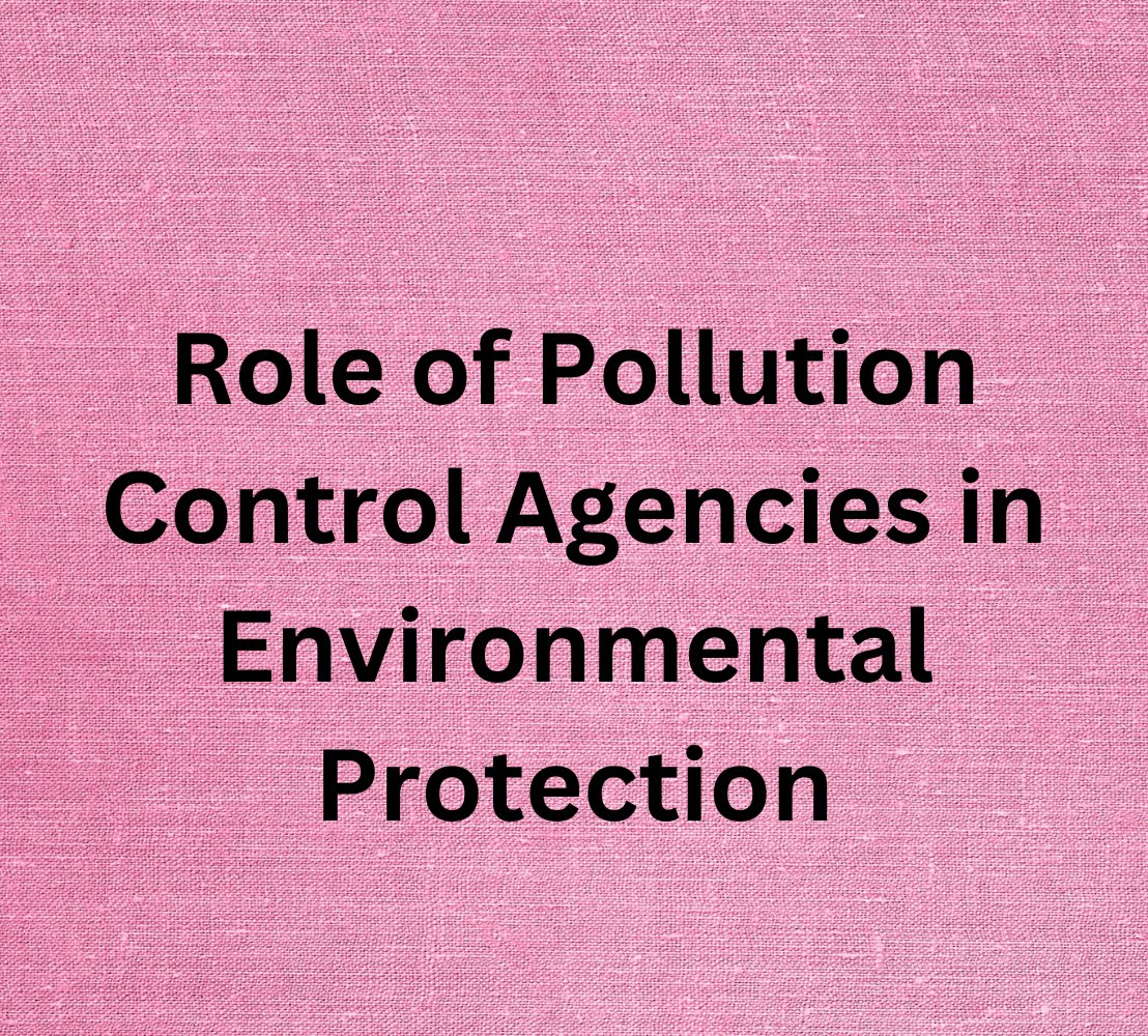Role of Pollution Control Agencies in Environmental Protection