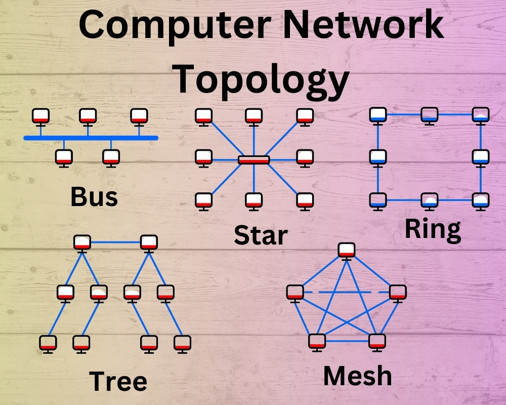 Diagram showing five types of computer network topologies: Bus, Star, Ring, Tree, and Mesh, each illustrated with connected computer icons representing their unique layouts.