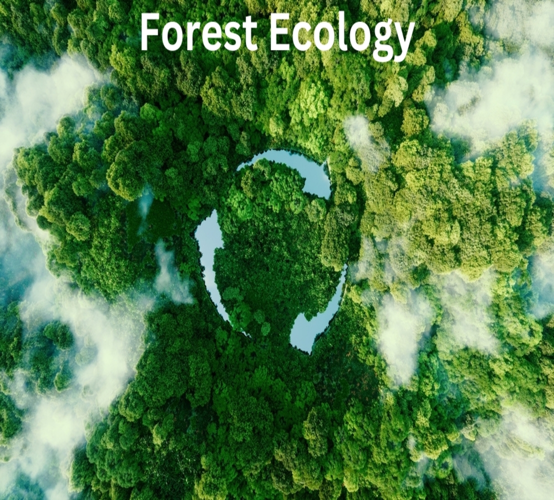 Aerial view of a lush, green forest with scattered clouds, forming a circular gap resembling a recycling symbol. Text "Forest Ecology" is at the top.