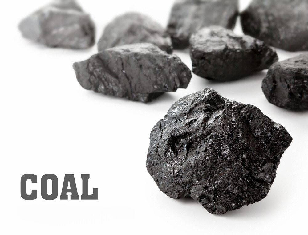 Pieces of shiny black coal are scattered on a white surface. The word "COAL" in gray, bold letters appears on the left side, conveying an industrial feel.